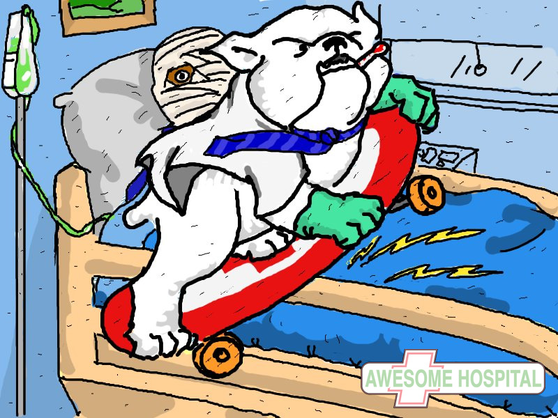 Dr. Bulldog On A Skateboard, by Sheli Hay
